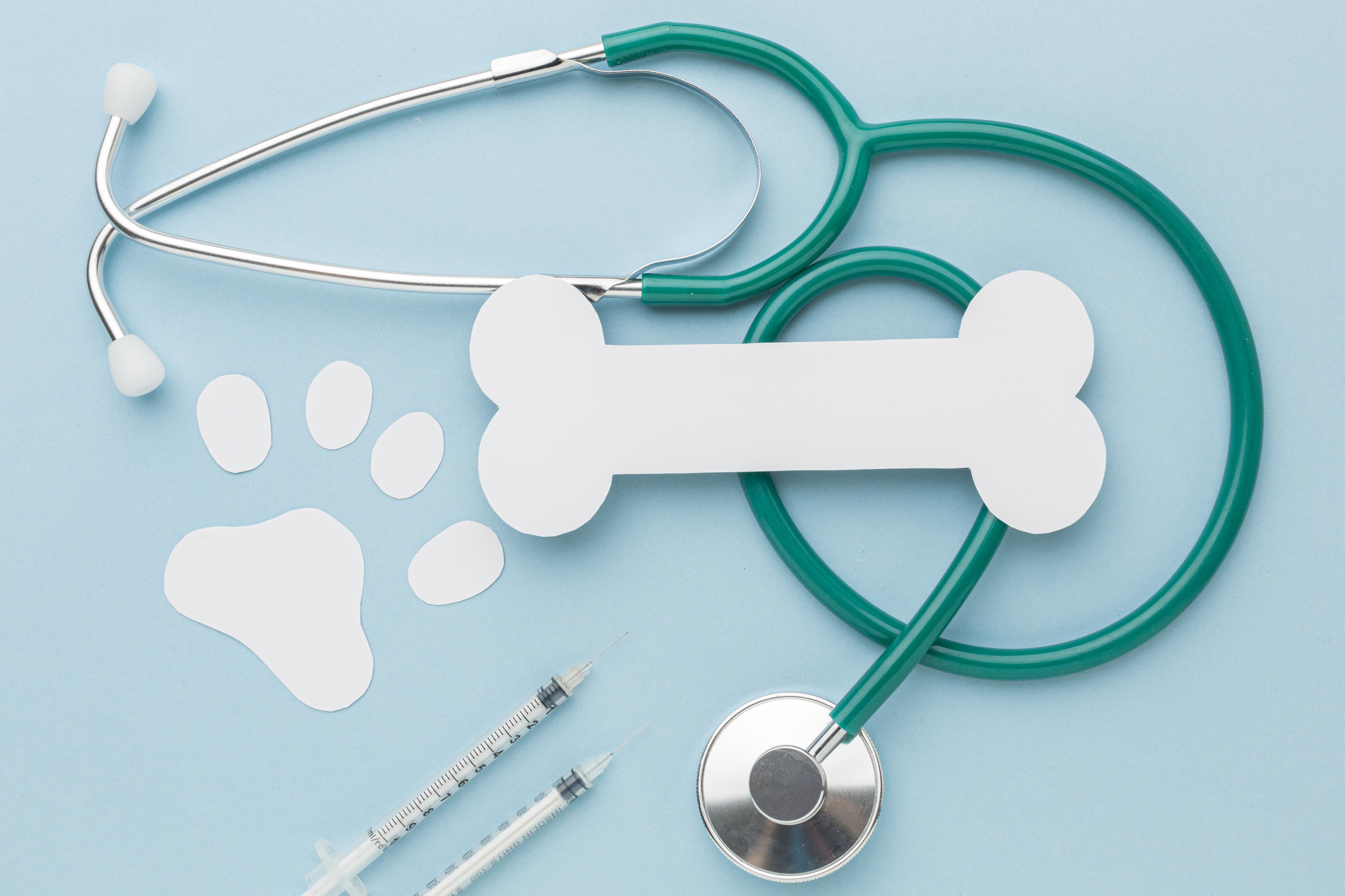 Veteriner Klinikleri İçin Hasta Takip Sistemi Neden Gerekli?